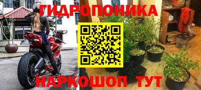 ПСИЛОЦИБИНОВЫЕ ГРИБЫ Донской