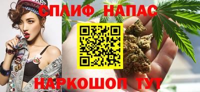 ПСИЛОЦИБИНОВЫЕ ГРИБЫ Донской