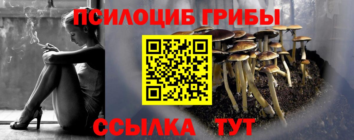 Якутск  Псилоцибиновые грибы Psilocybine cubensis  Вход с VPN 